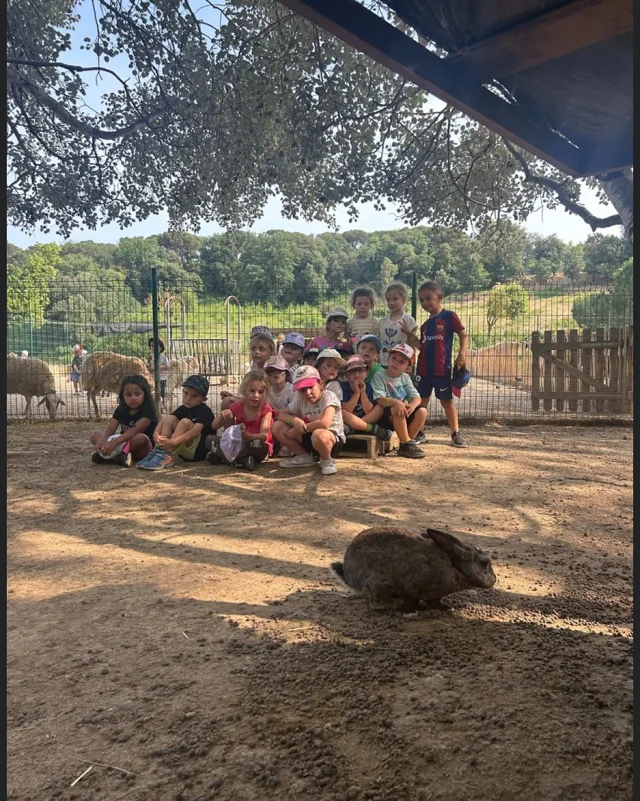 Ja podeu veure al web de l’escola les fotografies de les colònies d’infantil.

https://immaculadahorta.com/colonies-a-la-granja/